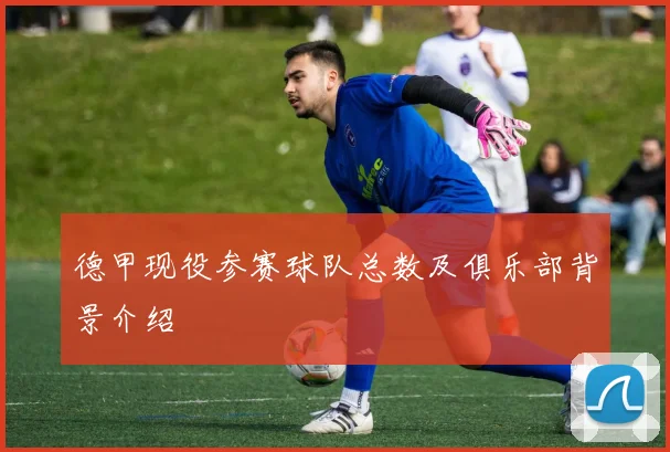 德甲现役参赛球队总数及俱乐部背景介绍